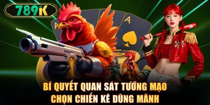 Bí quyết quan sát tướng mạo chọn chiến kê dũng mãnh