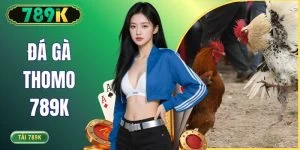 Đá Gà Thomo 789k - Lịch Đấu, Cách Cược Và 4 Mẹo Chọn Gà