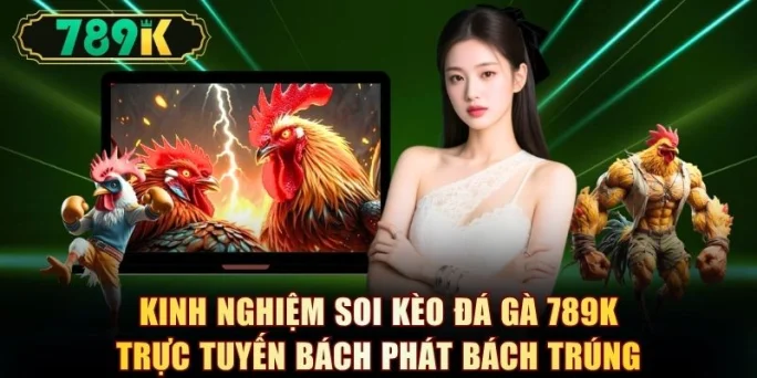 Kinh nghiệm soi kèo đá gà 789K trực tuyến bách phát bách trúng