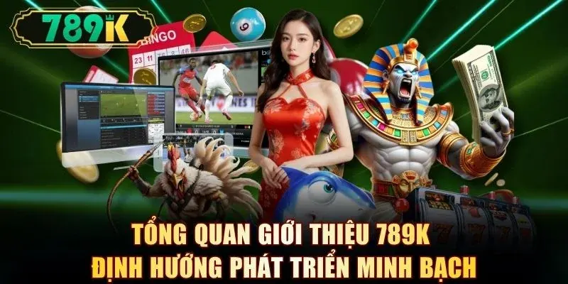 Tổng quan giới thiệu 789K định hướng phát triển minh bạch